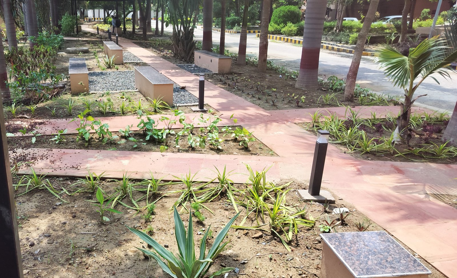 Campus Landscape design of Chankya National Law University