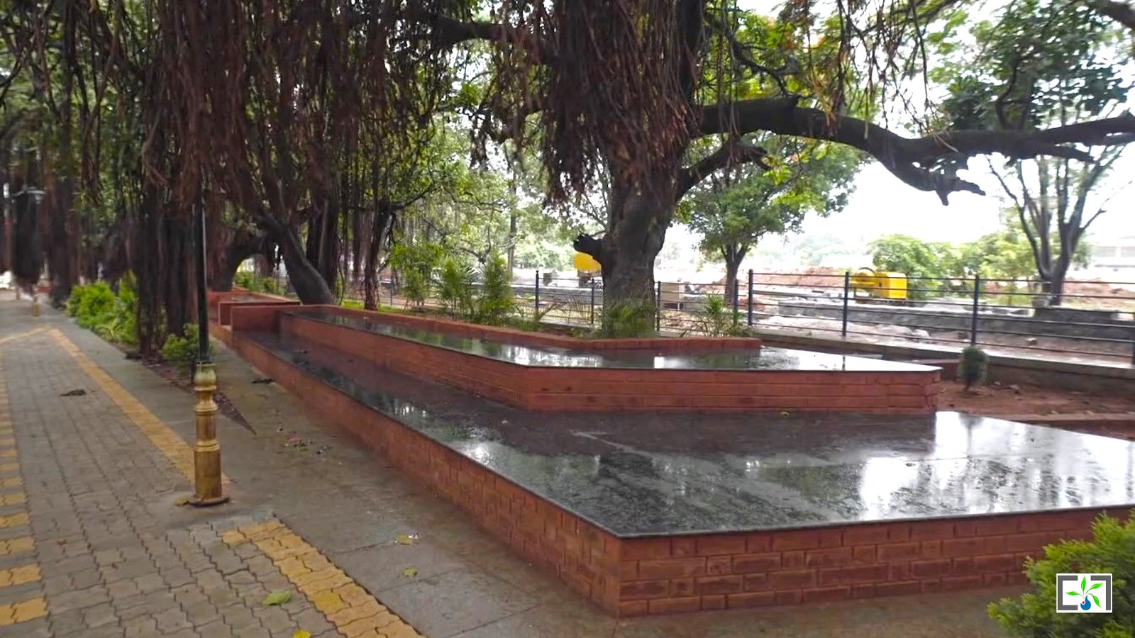 Banyan Tree Boulevard 6